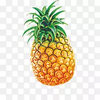 冰淇淋汁,蜜汁,菠萝果-菠萝-空若网 冰淇淋汁,蜜汁,菠萝果-菠萝-空若网