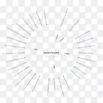 ֱ�ߵ����-������