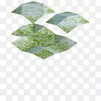 绿叶-空若网 绿叶-空若网