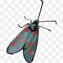 �������-��������ý������-������