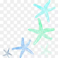 ���Ǽ�����.����-������