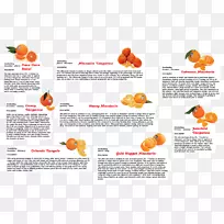 菜谱-鸽子豌豆-空若网 菜谱-鸽子豌豆-空若网