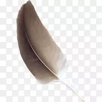 羽毛材料设计产品-羽毛PNG-空若网 羽毛材料设计产品-羽毛PNG-空若网