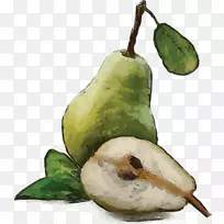 梨子水彩画-梨-空若网 梨子水彩画-梨-空若网