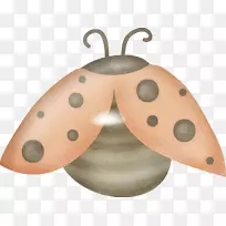 昆虫图标-昆虫-空若网 昆虫图标-昆虫-空若网