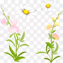 花卉设计切花植物茎野花-空若网 花卉设计切花植物茎野花-空若网