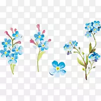 花卉设计切花花瓣野花-空若网 花卉设计切花花瓣野花-空若网