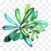 叶花水彩画伦敦-空若网 叶花水彩画伦敦-空若网