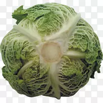 ɳ�߸���ʮ�ֻ����߲�-������