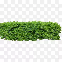 Adobe Photoshop元素景观-空若网 Adobe Photoshop元素景观-空若网