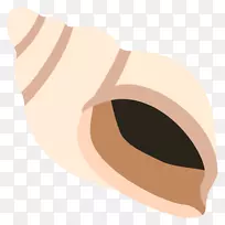 ART moji���ű������seashell-shell����-������