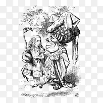 爱丽丝在仙境中的冒险和透过镜中的公爵夫人模拟海龟-爱丽丝在仙境的葡萄酒-空若网 爱丽丝在仙境中的冒险和透过镜中的公爵夫人模拟海龟-爱丽丝在仙境的葡萄酒-空若网