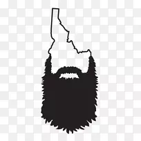 ����Boise�������ո���ֽ����-������