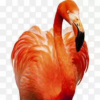 ��������Ӱ����.īˮ������-������