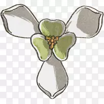 开花植物-仙女撒花-空若网 开花植物-仙女撒花-空若网