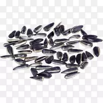 向日葵种子普通向日葵播种-空若网 向日葵种子普通向日葵播种-空若网