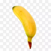 �㽶��-�㽶-������