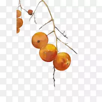 ÊÁ×Ó¼ÐÒÕÊõ.ÊÖ»æÊÁ×Ó-¿ÕÈôÍø ÊÁ×Ó¼ÐÒÕÊõ.ÊÖ»æÊÁ×Ó-¿ÕÈôÍø