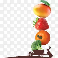 ����ʳƷ��ݮ�߲���Ƭ-����ˮ����-������