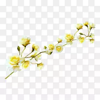 插花艺术-空若网 插花艺术-空若网