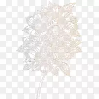 花卉设计单色花瓣开花植物-精致的花-空若网 花卉设计单色花瓣开花植物-精致的花-空若网