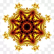 ���������Գ�ͼ��-����-������