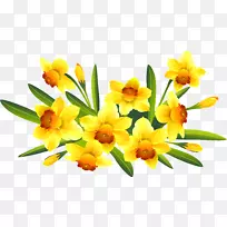 摄影剪贴画.创意水仙花-空若网 摄影剪贴画.创意水仙花-空若网