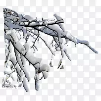 ѩ����Ƭ������-ѩ-������