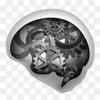 ���Գ���ŷʽ-��е��-������