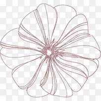 ���߶Գ���-������