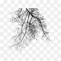 树枝剪贴画-树枝打扮-空若网 树枝剪贴画-树枝打扮-空若网