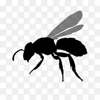 ÃÛ·ä»Æ·ä¼ôÌù»À¥³æÍ¼-¿ÕÈôÍø ÃÛ·ä»Æ·ä¼ôÌù»À¥³æÍ¼-¿ÕÈôÍø