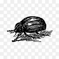 昆虫绘图/m/02csf授粉器字体-日式插图-空若网 昆虫绘图/m/02csf授粉器字体-日式插图-空若网