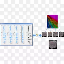 �����ѧ����������������������-������