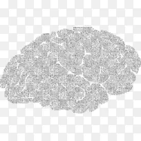 树白色英语字母数字-空若网 树白色英语字母数字-空若网