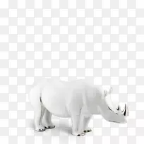 印度象非洲象野生动物黑色发亮-空若网 印度象非洲象野生动物黑色发亮-空若网