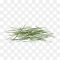 绿色海报下载-绿草-空若网 绿色海报下载-绿草-空若网