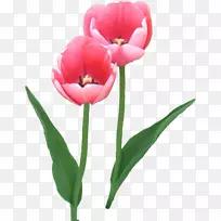 Óô½ðÏãÇл¨¼ôÌù»-Óô½ðÏã-¿ÕÈôÍø Óô½ðÏãÇл¨¼ôÌù»-Óô½ðÏã-¿ÕÈôÍø