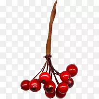 ӣ�Ҽ�����.ӣ�Ҳ���-������