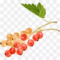 红樱桃葡萄-浆果-空若网 红樱桃葡萄-浆果-空若网