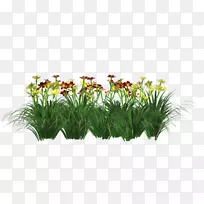 草花盆植物茎灌木-花-空若网 草花盆植物茎灌木-花-空若网