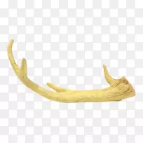 �°�¹�ǳ���&�ư�-¹��-������