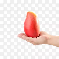 ��������ɳ��â��������������-â��-������