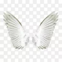 桌面壁纸剪贴画-空若网 桌面壁纸剪贴画-空若网