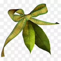 叶电子邮件植物茎夹艺术-秋季植物-空若网 叶电子邮件植物茎夹艺术-秋季植物-空若网