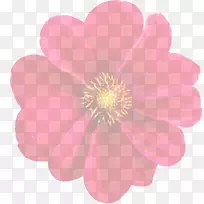 大丽花植物剪贴画-花朵盛开-空若网 大丽花植物剪贴画-花朵盛开-空若网