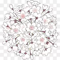 樱花花卉设计-空若网 樱花花卉设计-空若网