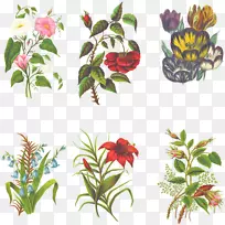 花卉设计切花艺术-多叶-空若网 花卉设计切花艺术-多叶-空若网