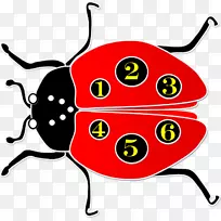 瓢虫昆虫剪贴画.不规则的对位-空若网 瓢虫昆虫剪贴画.不规则的对位-空若网