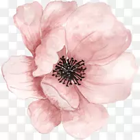 水彩画水彩画-空若网 水彩画水彩画-空若网